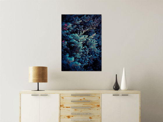 Spring | Limited Edition Fine Art Print 1 of 10 | 50 x 75 cm