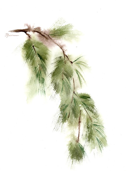 Set of 2 Pine Branches - Original watercolor paintings