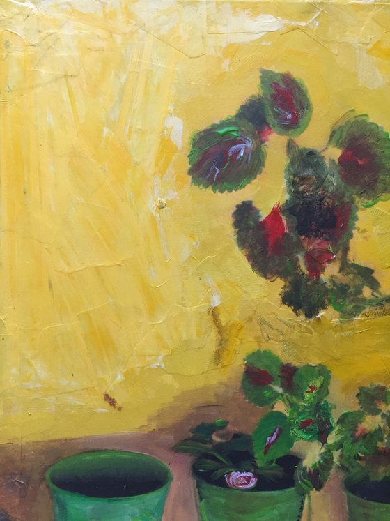 Yellow Wall, Greek Flowers