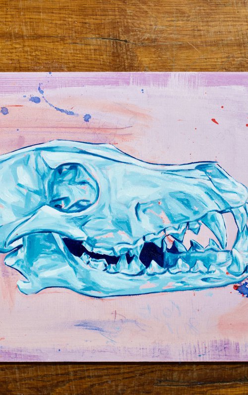 Coyote by Paul Ward
