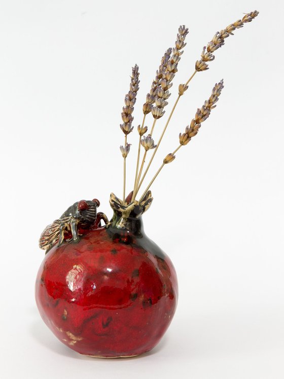 Cicada and pomegranate