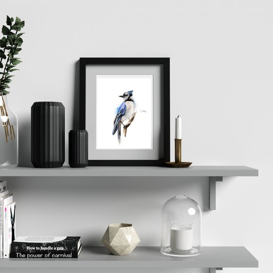 Blue jay birds watercolor painting 2 set