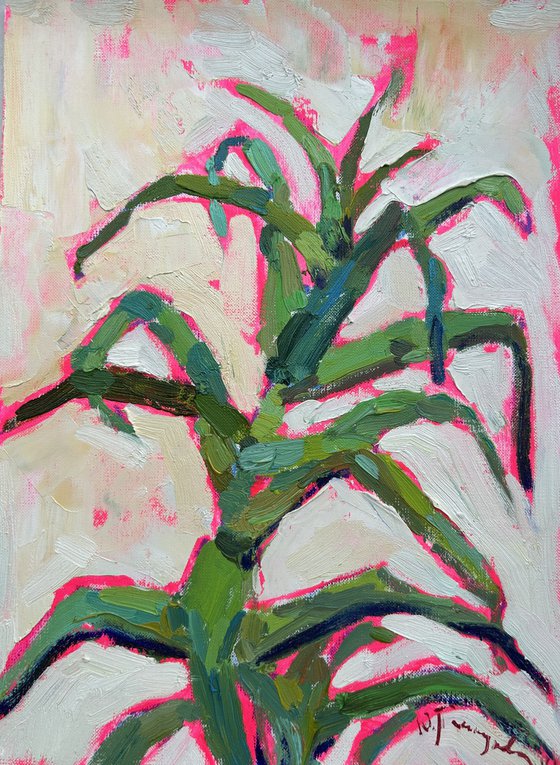 aloe vera