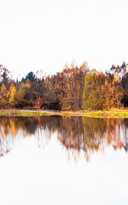 Autumn Reflections by Cristina Stefan