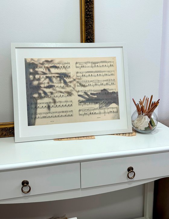 Silhouette Hand And Leaves on Music Sheet