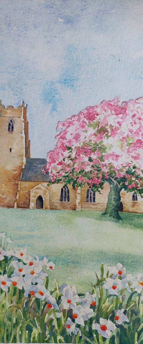 Church and Cherry Blossom by Zoe Elizabeth Norman