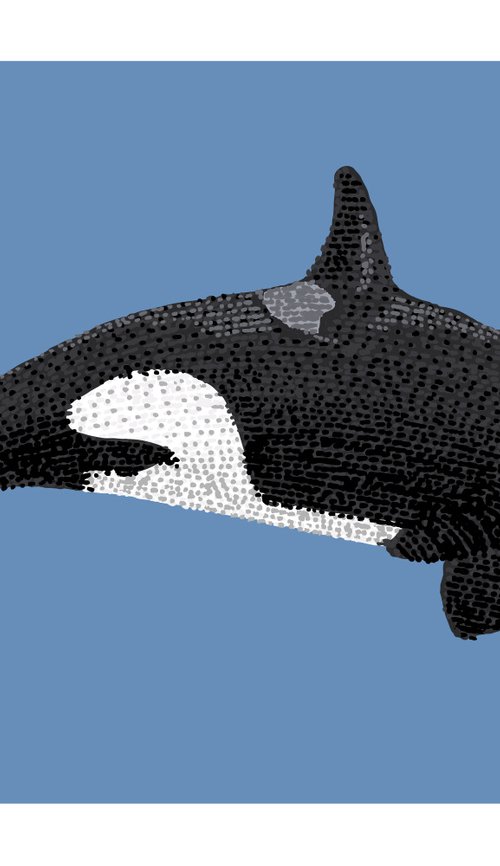 Killer whale - Stippling Illustration by Kelsey Emblow