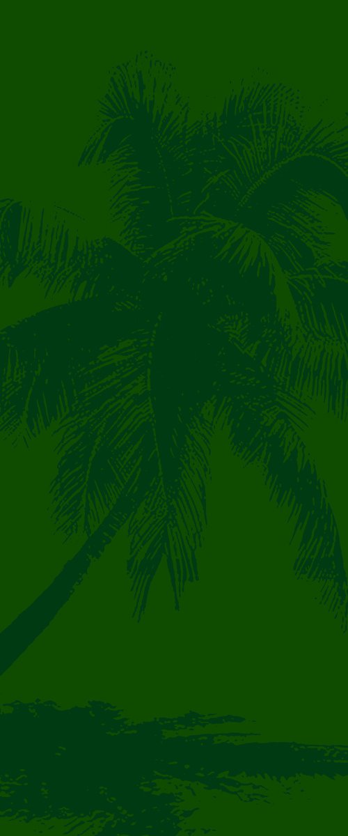Palm tree_3 by Kosta Morr