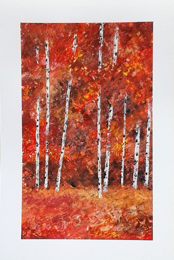 Autumnal Silver Birch 3