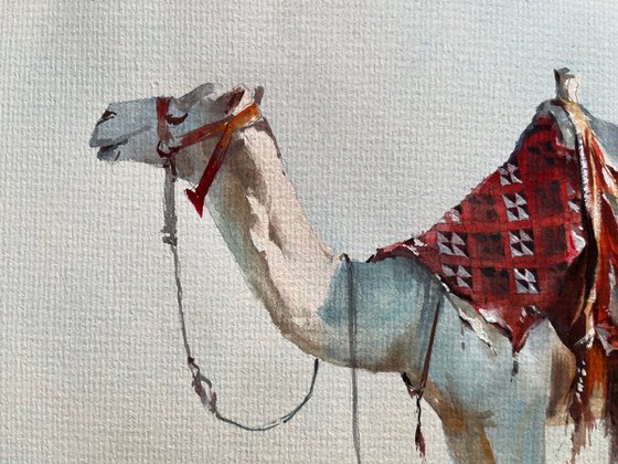 "The Adorned Dromedary"