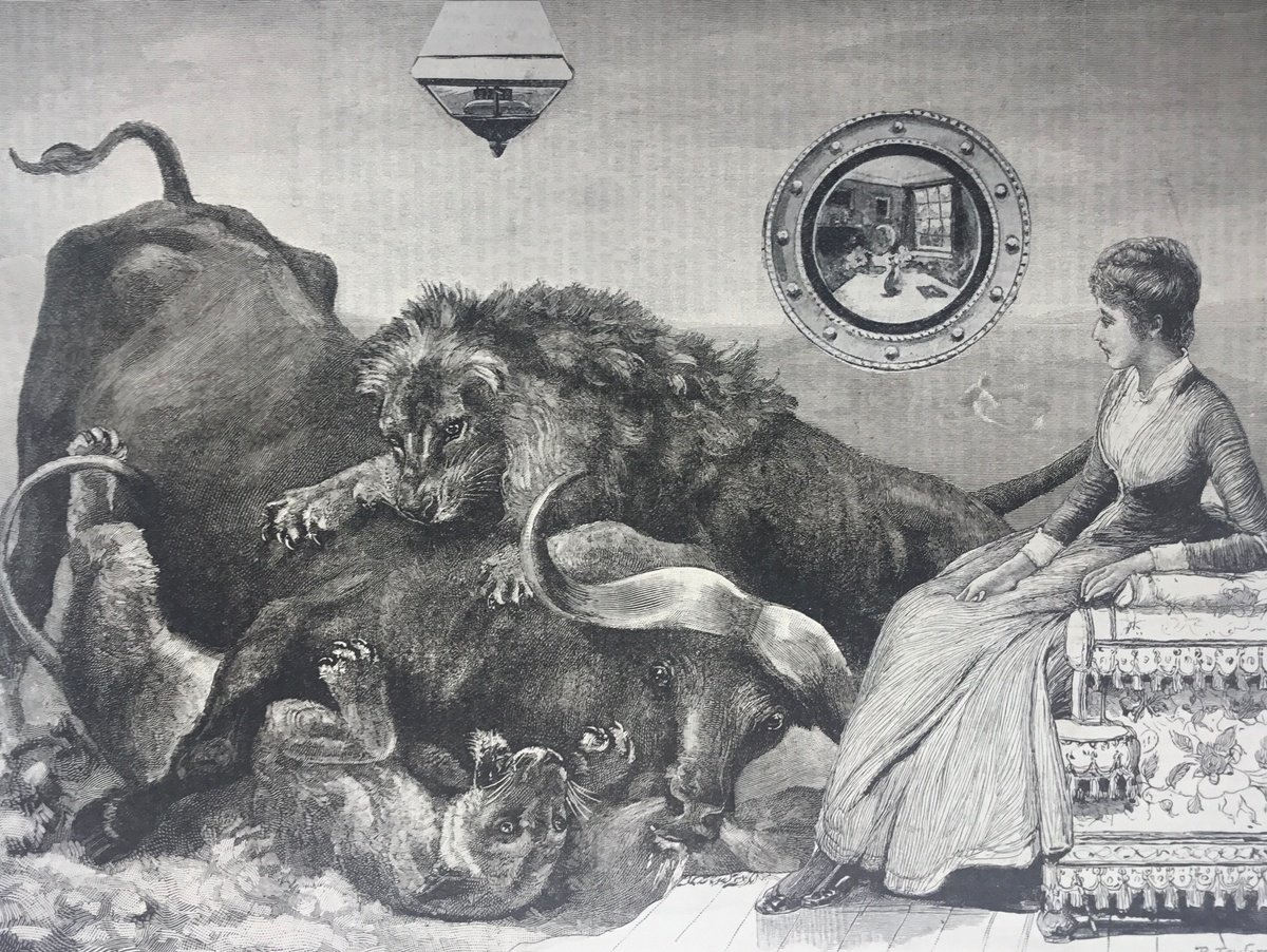 Surrealistic Collage , African Buffalo And Lions By Tudor Evans, 9 X 7, Artwork For Sale On Artfinder