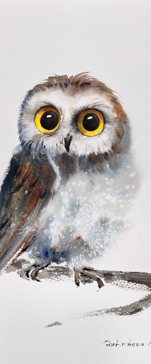 Little owl on a branch #11 by Eugenia Gorbacheva