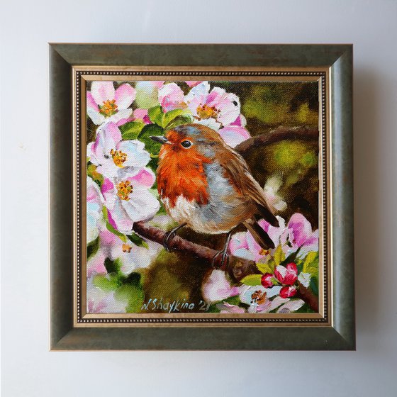 Robin Bird Painting