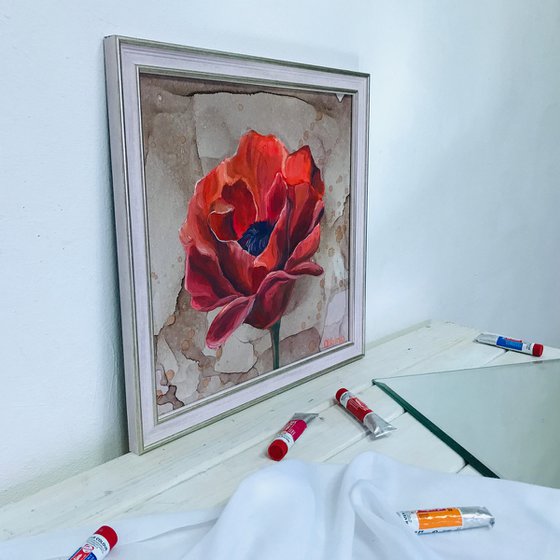 Scarlet Tulip