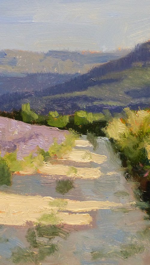 Chemin des Roméyères by Pascal Giroud