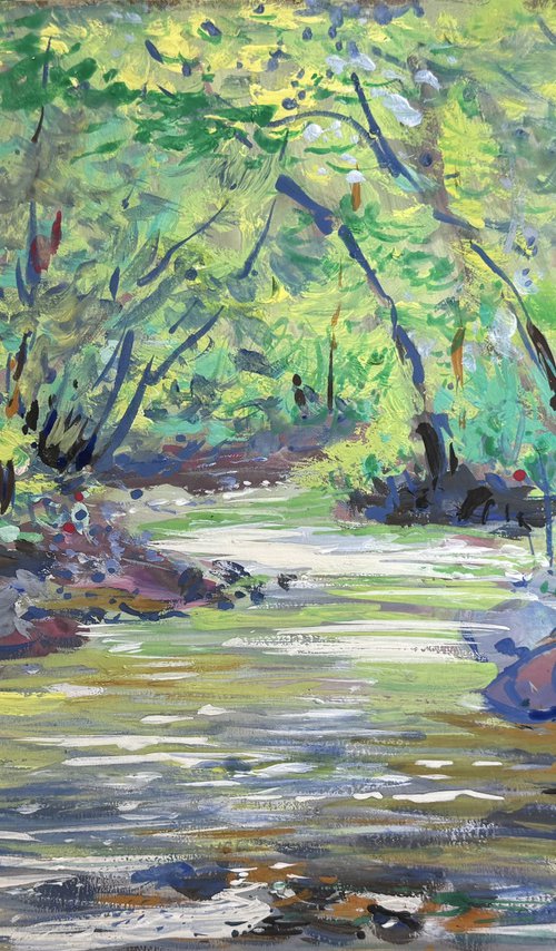 Stream in the forest, Tuscany by Altin Furxhi