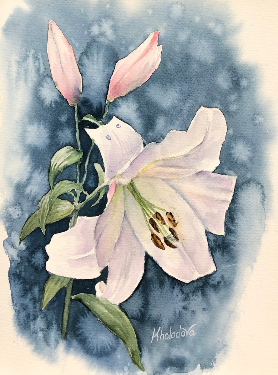 Lily by Olga Kholodova