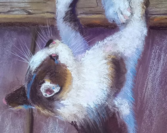 Playful Kittens on the Fence