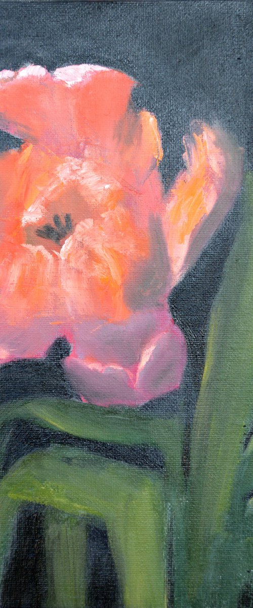Coral tulips 3 by Elena Lukina