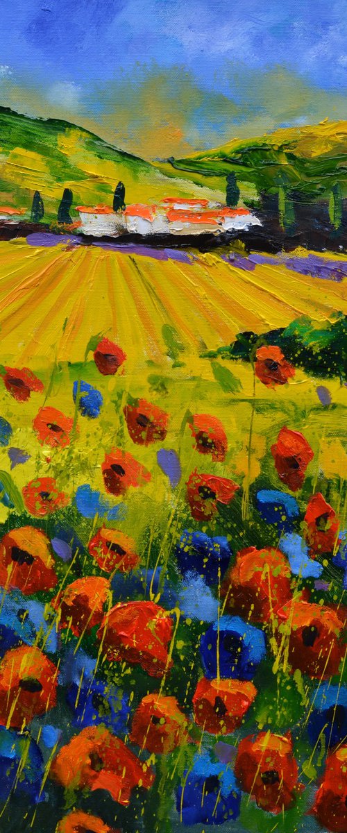 Poppies in Tuscany - 66 by Pol Henry Ledent