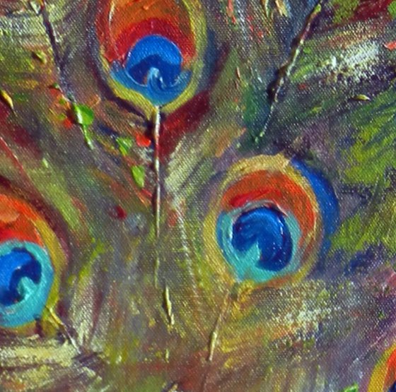 Peacock