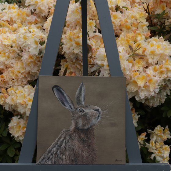 Portrait of a Hare III