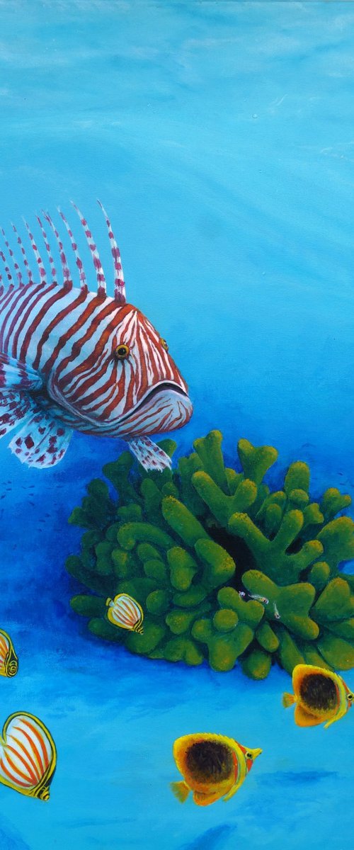 Lionfish by John N Mason