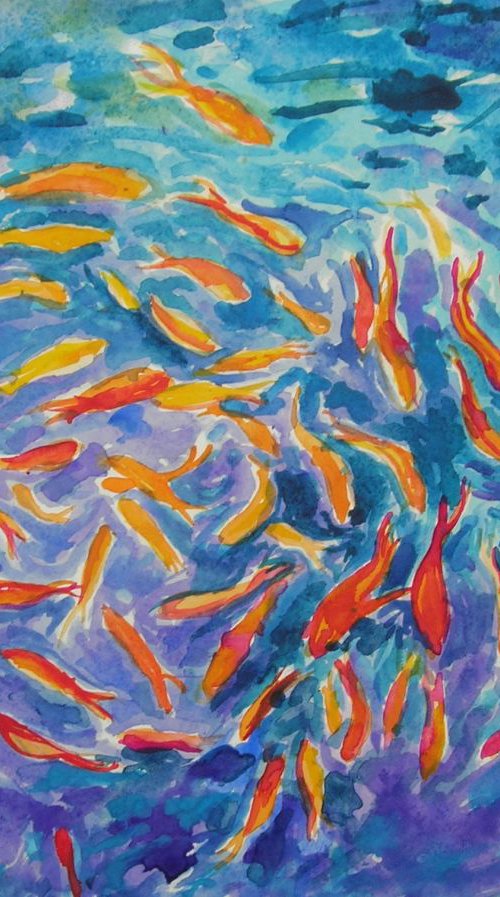 School of fish by Maja Grecic