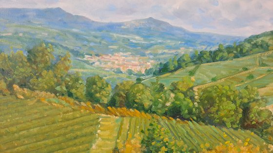 Langhe landscape