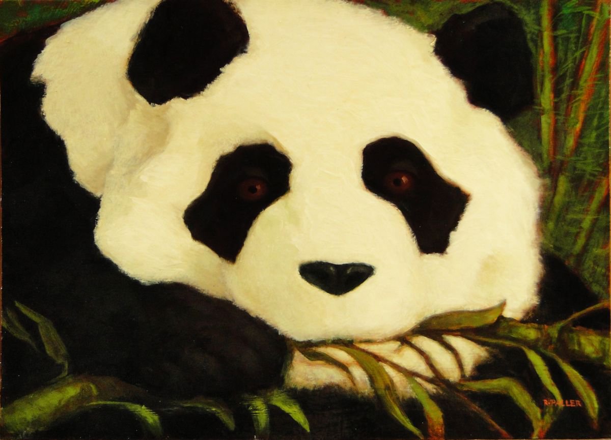 Panda Eating Bamboo by Rick Paller