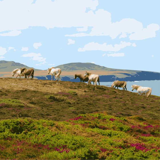 Coastal Ponies #2