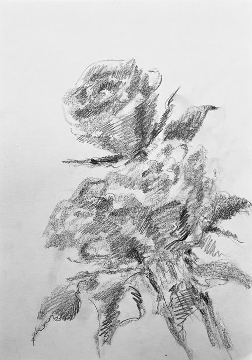 Roses #13. Original charcoal drawing by Yury Klyan