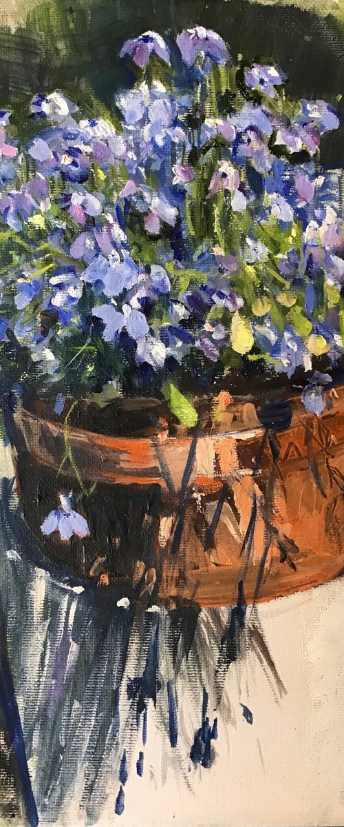 Lobelia by Sandra Haney