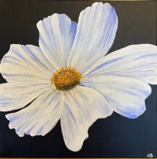 White flower by Sabrina’s Art