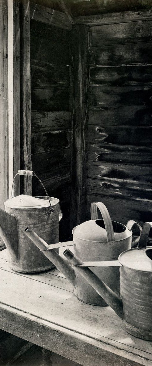 Three Watering Cans by Robert Tolchin