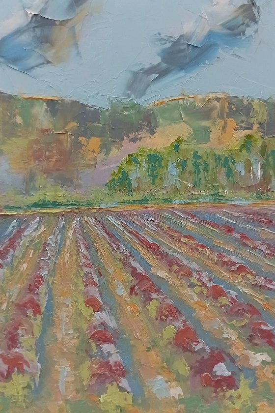 Lavander field. Lavander flowers painting