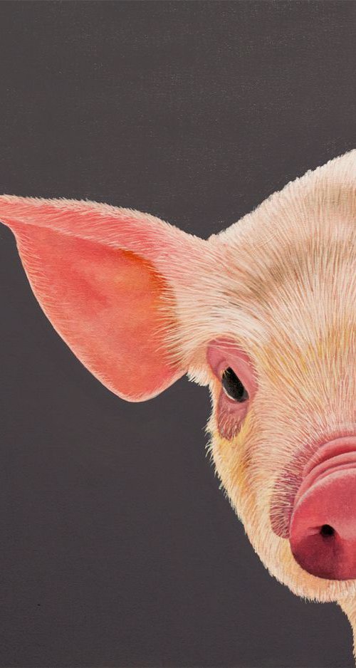 What Do You Mean By Pulled Pork? by Dietrich Moravec