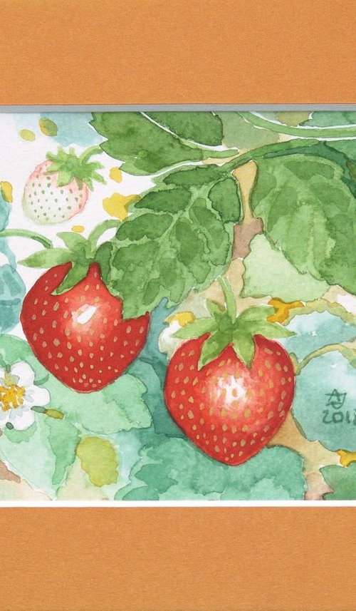 Strawberries * free shipping * by Jolanta Czarnecka