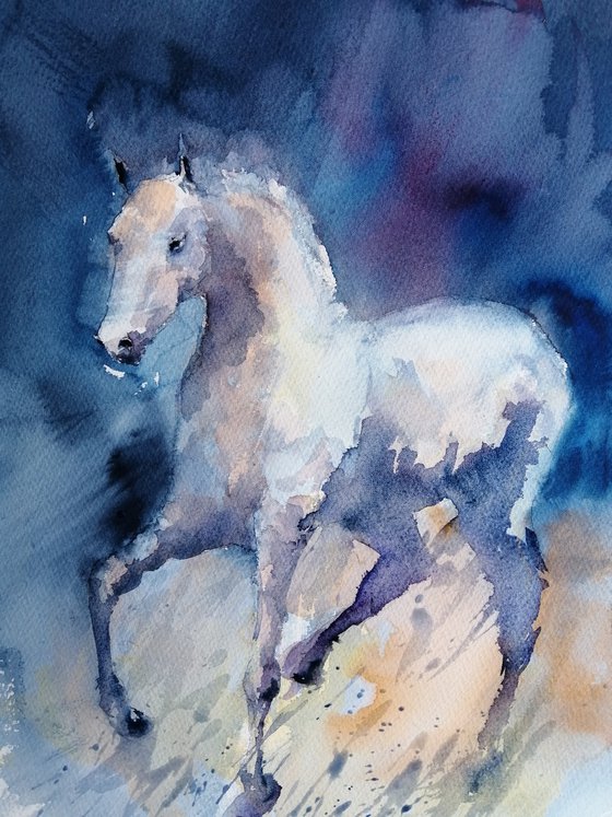 horses 25