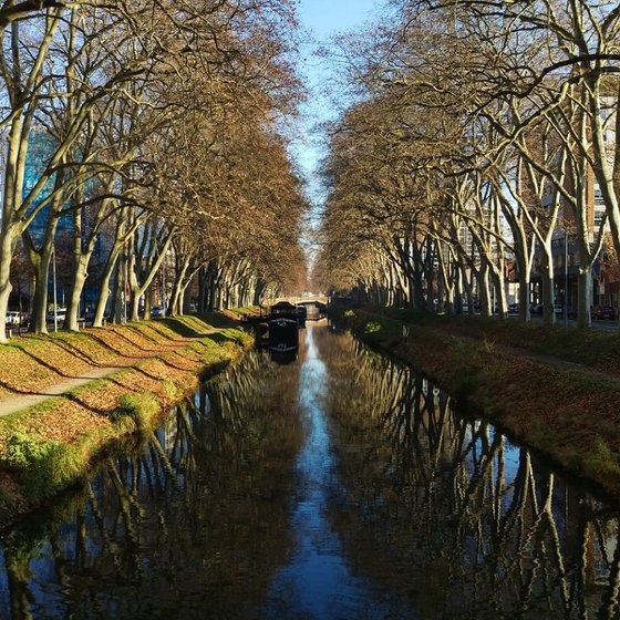 Canal Du Midi, 21x21 Inches, C-Type, Framed