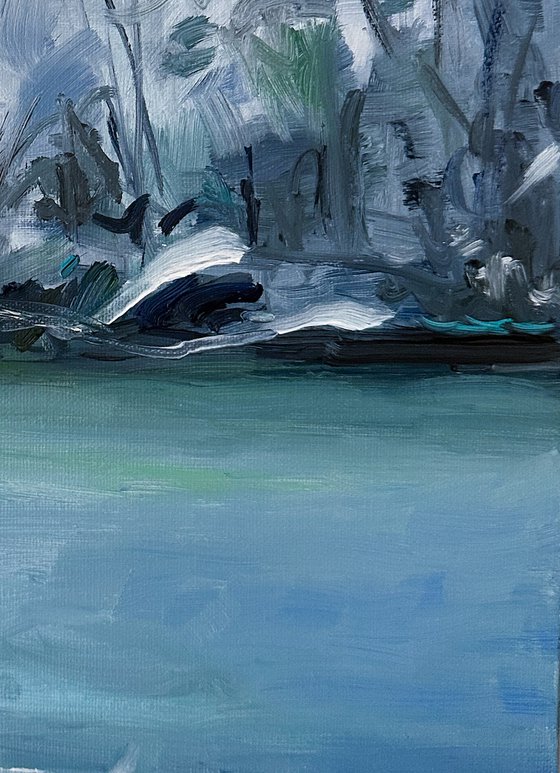 Winter in Central Park