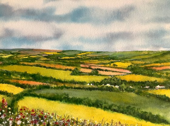 Summer landscape