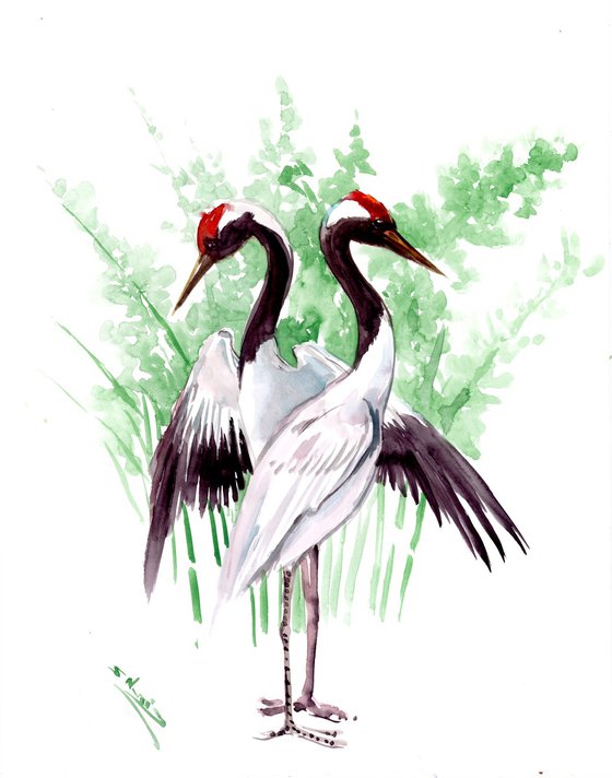 Dancing Japanese Cranes