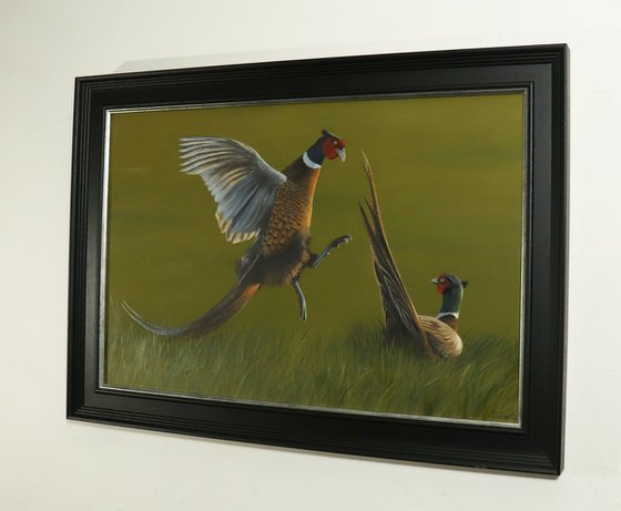 Fighting Pheasant, Animal Painting, Bird Artwork, Framed Art, Garden Animals, Original not Print, Gun Dog, Hunting