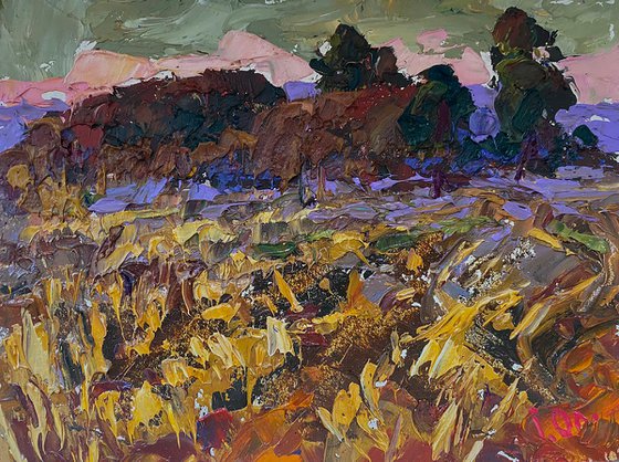 A Tired Field