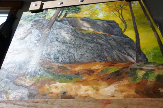 Glacial Boulder