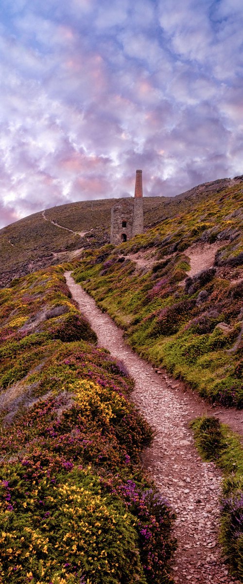 Wheal Coates Sunset and Heather by Paul Nash