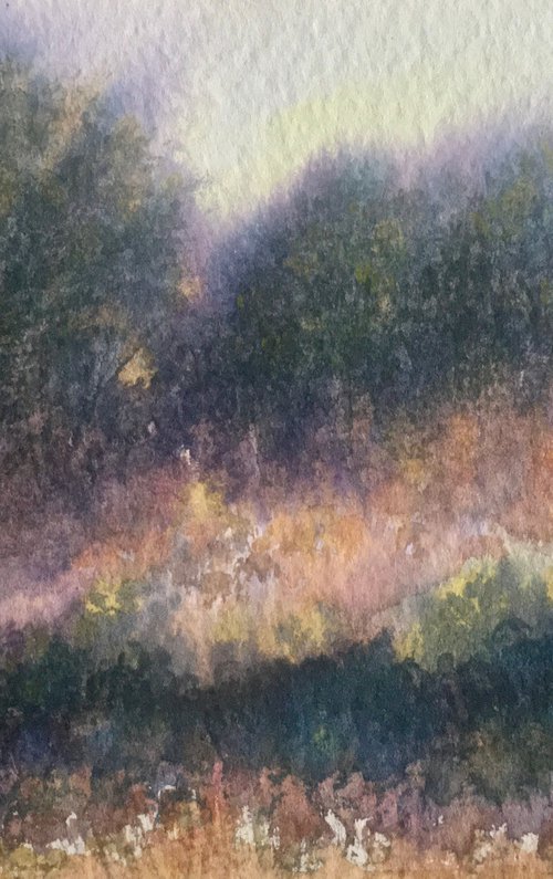 Gorse on the heath by Samantha Adams