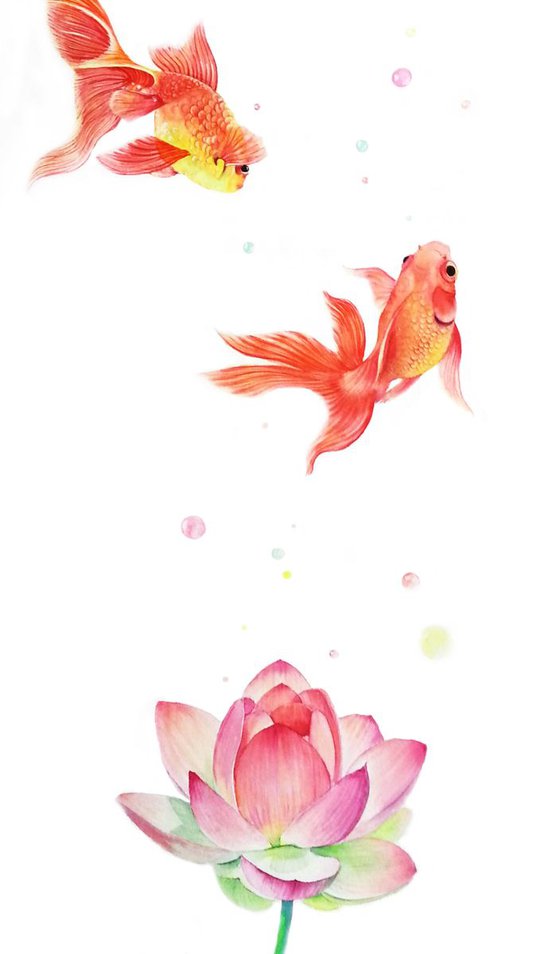 Goldfish and Lotus Flower