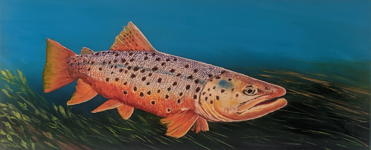Photorealistic Animal Oil Painting By Artem _Ar.ko, 28 X 12, Golden Trout, Original Artwork